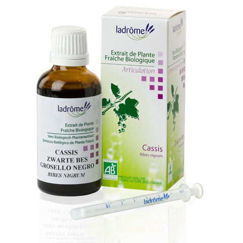 Comprar online GROSELLERO NEGRO BIO 50 ml de LADROME. Imagen 1