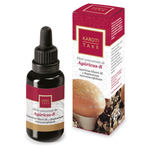 Comprar online KAROTI-TAKE AGARICUS-B 30 ml de HIRANYAGARBA. Imagen 1