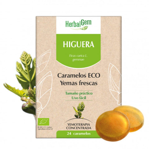 Comprar online HIGUERA BIO 24 CARAMELOS de HERBALGEM. Imagen 1