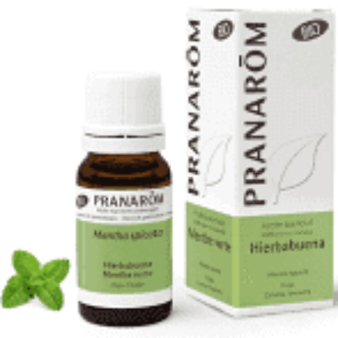 Comprar online A ESENCIAL HIERBABUENA PARTES AEREAS BIO 10 ML de PRANAROM. Imagen 1