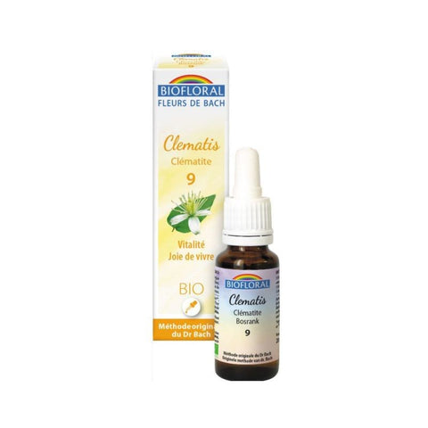 Comprar online FLORES DE BACH 09 CLEMATIS CLEMATIDE BIO 20 ML de BIOFLORAL. Imagen 1