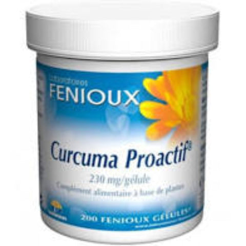 Comprar online CURCUMA PROACTIF 230 mg 90 Caps de FENIOUX. Imagen 1