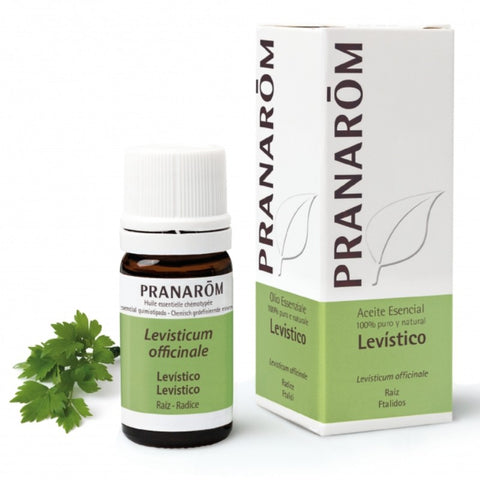 Comprar online LEVISTICO RAIZ 5 ML de PRANAROM. Imagen 1