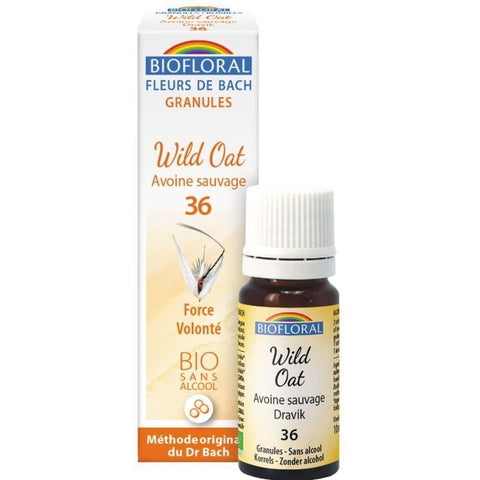 Comprar online FLORES DE BACH 36 WILD OAT AVENA SILVESTRE BIO 9 G de BIOFLORAL. Imagen 1