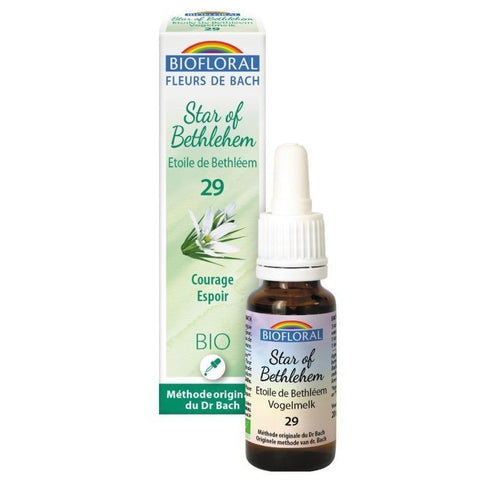 Comprar online FLORES DE BACH 29 STAR OF BETHLEHEM ESTRELLA DE BE de BIOFLORAL. Imagen 1