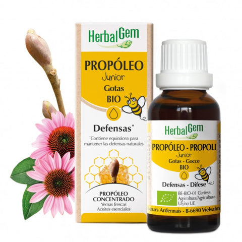 Comprar online PROPOLEO JUNIOR BIO 15 ML de HERBALGEM. Imagen 1