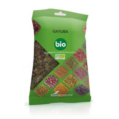 Comprar online GAYUBA BIO PLANTA 50 gr de SORIA. Imagen 1