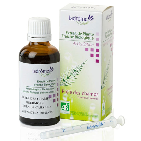 Comprar online COLA CABALLO BIO 50 ml de LADROME. Imagen 1