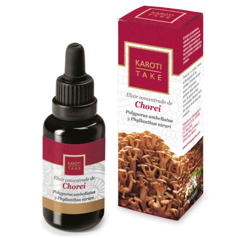 Comprar online KAROTI-TAKE CHOREI 30 ml de HIRANYAGARBA. Imagen 1
