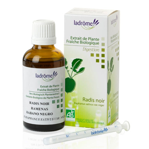 Comprar online RABANOßNEGROßBIO 50 ml de LADROME. Imagen 1