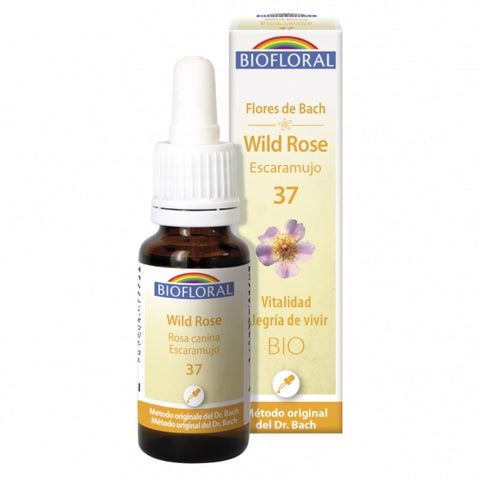 Comprar online FLORES DE BACH 37 WILD ROSE ESCARAMUJO BIO 20 ML de BIOFLORAL. Imagen 1