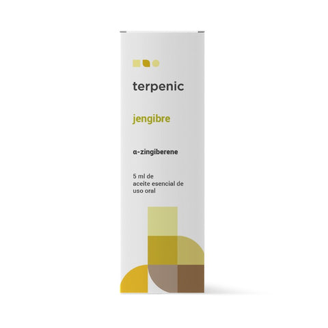Comprar online JENGIBRE 5 ml de TERPENIC. Imagen 1