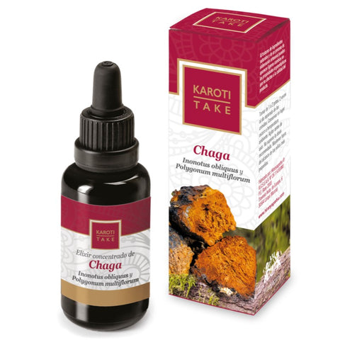 Comprar online KAROTI-TAKE CHAGA 30 ml de HIRANYAGARBA. Imagen 1
