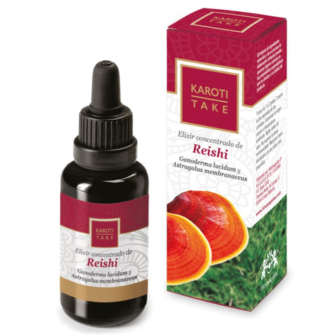 Comprar online KAROTI-TAKE REISHI 30 ml de HIRANYAGARBA. Imagen 1