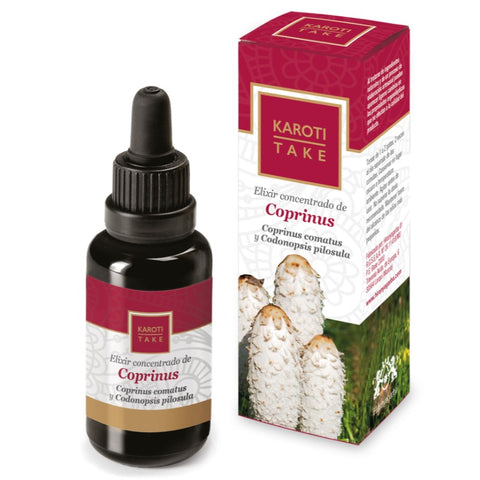 Comprar online KAROTI-TAKE COPRINUS 30 ml de HIRANYAGARBA. Imagen 1