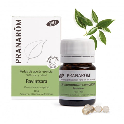 Comprar online A ESENCIAL RAVINTSARA HOJA BIO 60 MINICAPSULAS de PRANAROM. Imagen 1