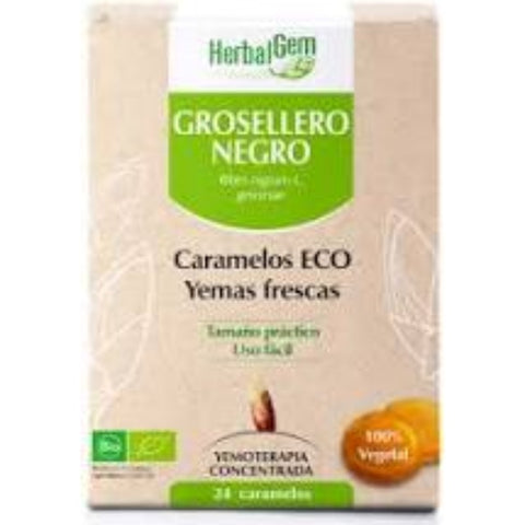 Comprar online GROSELLERO NEGRO BIO 24 CARAMELOS de HERBALGEM. Imagen 1