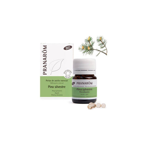 Comprar online A ESENCIAL PINO SILVESTRE AGUJAS BIO 60 MINICAPSUL de PRANAROM. Imagen 1