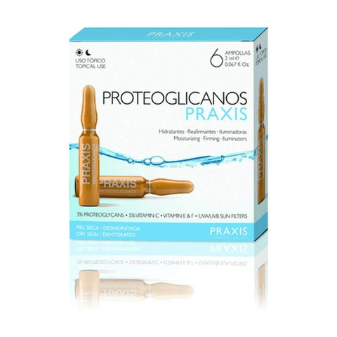 Comprar online PRAXIS PROTEOGLICANOS CAJA 6UD de PRAXIS. Imagen 1