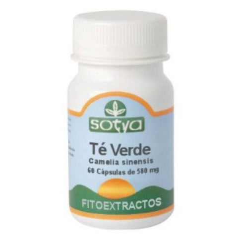 Comprar online TE VERDE 580 mg 60 Caps de SOTYA BESLAN. Imagen 1