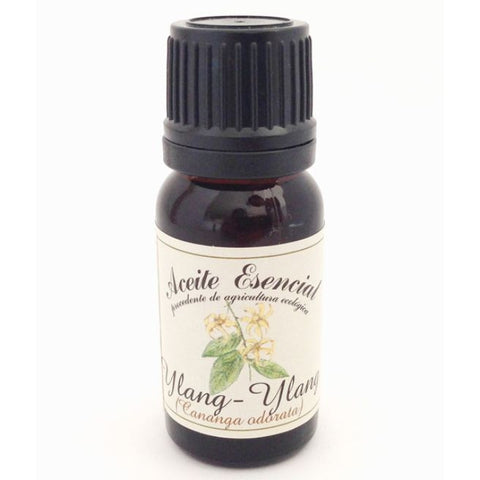 Comprar online AC ESENCIAL YLANG-YLANG (CANANGA ODORATA) III FRAC de LABIATAE. Imagen 1
