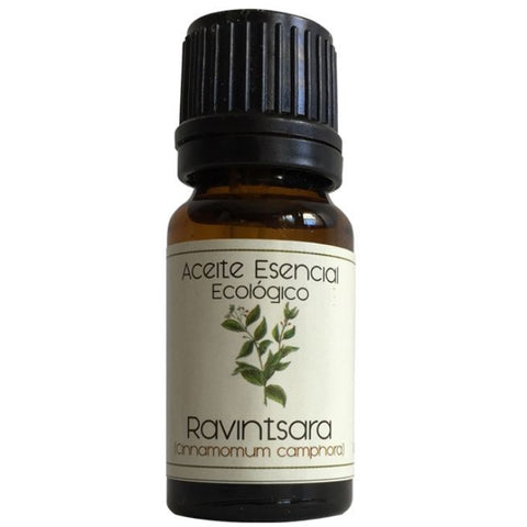 Comprar online ACEITE ESEN. RAVINSARA (CINNAMOMUM CAMPHORA) 12 ml de LABIATAE. Imagen 1