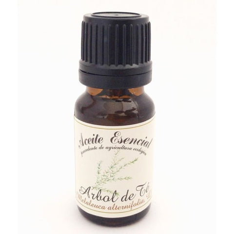 Comprar online ACEITE ESENCIAL ARBOL TE (MELALEUCA ALTERNIFOLIA) de LABIATAE. Imagen 1