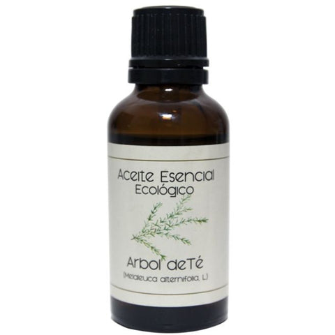 Comprar online ACEITE ESENCIAL ARBOL TE (MELALEUCA ALTERNIFOLIA) de LABIATAE. Imagen 1