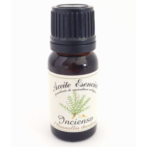 Comprar online ACEITE ESENCIAL DE INCIENSO (BOSWELLIA THURIFERA) de LABIATAE. Imagen 1