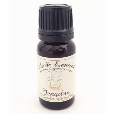 Comprar online ACEITE ESENCIAL DE JENGIBRE (ZINGIBER OFFICINALIS) de LABIATAE. Imagen 1