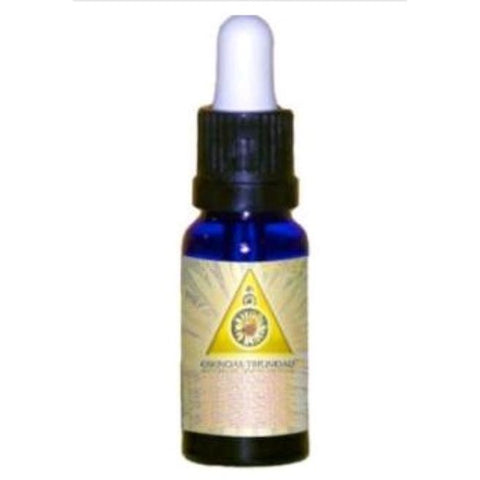 Comprar online ARBEJINA LUZ 15 ml de TRIUNIDAD. Imagen 1