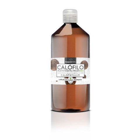 Comprar online CALOFILO V 1L de TERPENIC. Imagen 1