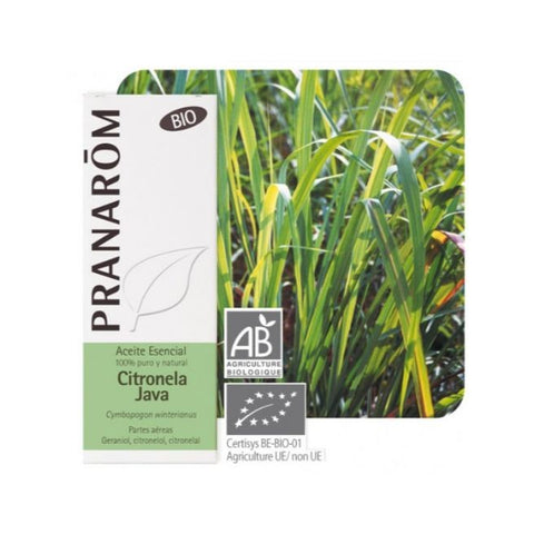 Comprar online CITRONELA DE JAVA PARTES AEREAS 10 ml de PRANAROM. Imagen 1