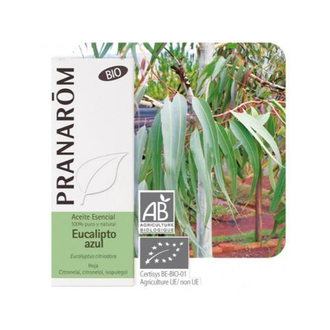 Comprar online EUCALIPTO AZUL HOJA 10 ml BIO de PRANAROM. Imagen 1