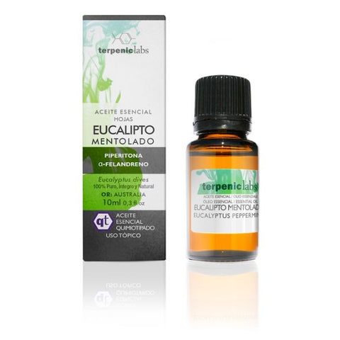 Comprar online EUCALIPTO MENTOLADO 10ml de TERPENIC. Imagen 1