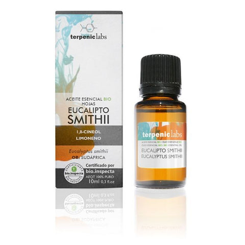 Comprar online EUCALIPTO SMITHII 10ml BIO de TERPENIC. Imagen 1