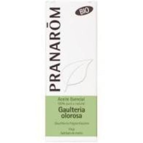 Comprar online GAULTERIA OLOROSA HOJA 10 ml BIO de PRANAROM. Imagen 1