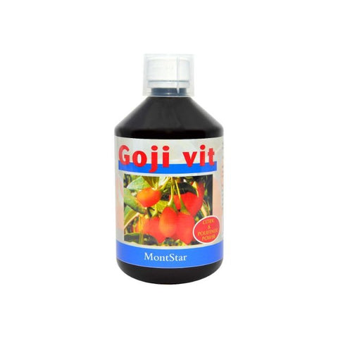 Comprar online GOJI VIT JUGO 500 ml de MONTSTAR. Imagen 1