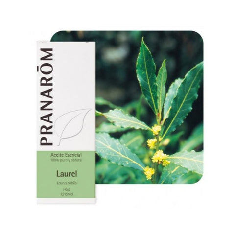 Comprar online LAUREL HOJA 5 ml de PRANAROM. Imagen 1