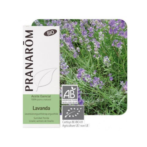 Comprar online LAVANDA SUMIDAD FLORIDA 10 ml de PRANAROM. Imagen 1