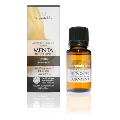 Comprar online MENTA CAMPO 10ml BIO de TERPENIC. Imagen 1