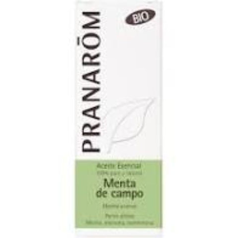 Comprar online MENTA DE CAMPO PARTES AEREAS 10 ml BIO de PRANAROM. Imagen 1