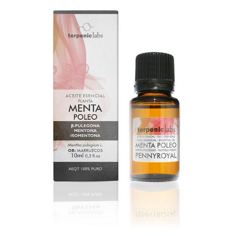 Comprar online MENTA POLEO 10ml de TERPENIC. Imagen 1