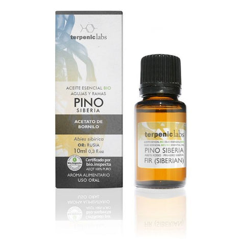 Comprar online PINO SIBERIA 10ml BIO de TERPENIC. Imagen 1