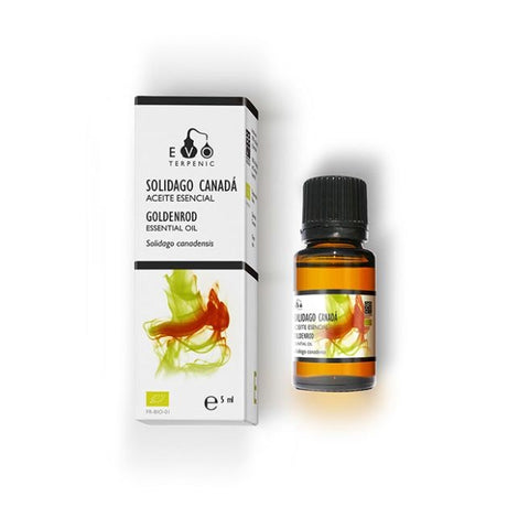 Comprar online SOLIDAGO DE CANADA 5ml BIO de TERPENIC. Imagen 1