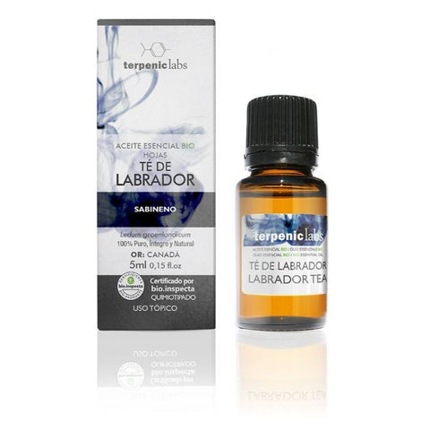 Comprar online TE DE LABRADOR 5ml BIO de TERPENIC. Imagen 1