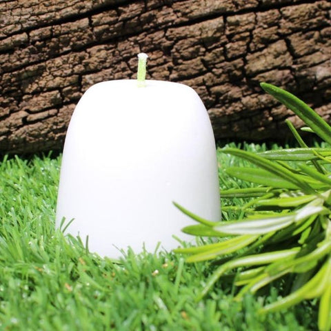 Comprar online VELA ENERGETICAS ROMERO 5CM (mecha verde) de NATURAL-MENTE. Imagen 1