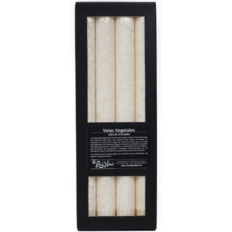 Comprar online VELAS CILINDRICAS PARA CANDELABRO BLANCA de KERZERMAN. Imagen 1