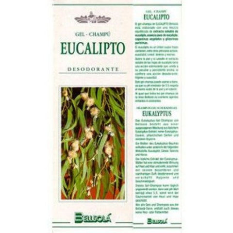 Comprar online GEL CHAMPU EUCALIPTO 250 cc de BELLSOLA. Imagen 1