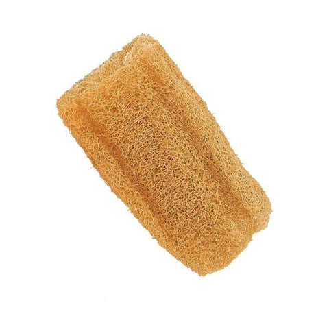 Comprar online LUFA NATURAL PIEZA TALLA M de FORSTERS. Imagen 1